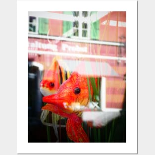 Something Fishy, some large goldfish against a towns reflections Posters and Art